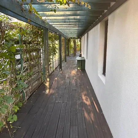 Casa Donau Pensiune *